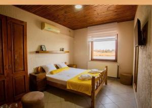 帕利克亚力山大别墅酒店的一间卧室设有一张床和一个窗口