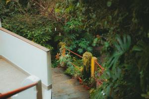里约热内卢Eco Pousada Estrelas da Babilônia的一套有植物和栅栏的楼梯