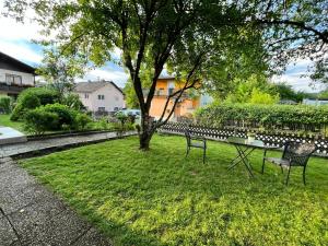 格赖因Pension DonauBlick Grein 1 , Spitzfeldstr 1的公园里设有两把椅子和一张桌子,还有一棵树