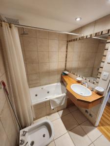 乌斯怀亚Mirabeagle Departamentos的浴室配有盥洗盆、卫生间和浴缸。