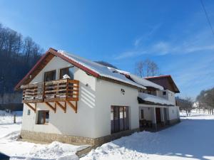 彼得罗沙尼Transilvania 10 - Casa Poarta Văii Jiului的白房子,地面上积雪