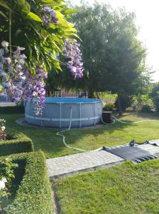 佐内贝克't Hooghe Licht Bed & Breakfast的花园,草地上设有游泳池