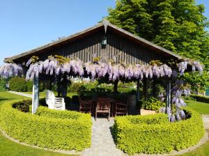 佐内贝克't Hooghe Licht Bed & Breakfast的一个带紫色花的凉棚的花园