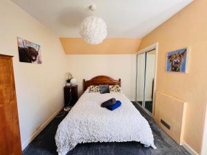 罗塞斯Park Road Holiday Home的一间卧室配有一张床和一个吊灯
