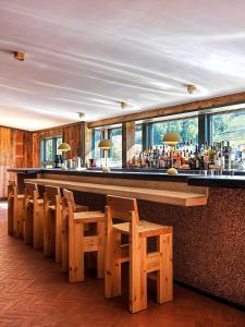 HillsdaleLittle Cat Lodge的酒吧设有一排木椅和柜台