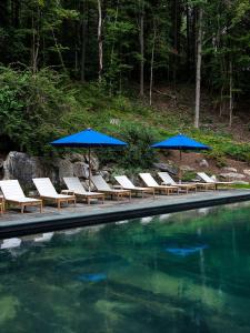 HillsdaleLittle Cat Lodge的一组椅子和遮阳伞,位于游泳池旁