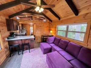 Twin MountainBMV6 Tiny Home village near Bretton Woods的小屋内带紫色沙发的客厅