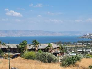 马格达拉Magdala Infront Sea of Galilee and Mount Harbel的棕榈树和大海背景的房子