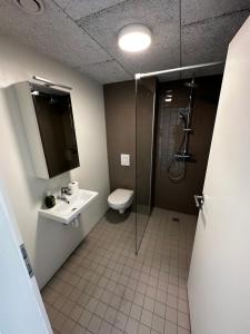 FlateyriFisherman Guesthouse Flateyri的浴室配有卫生间、盥洗盆和淋浴。