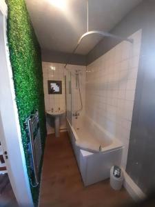 普里茅斯Plymouth Professionals Apartment的一间带大浴缸和绿色墙壁的浴室