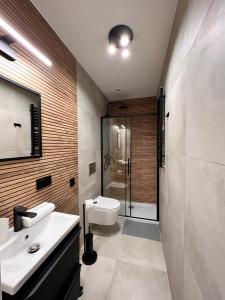 卡托维兹Green Hill Apartments Katowice的浴室配有卫生间、盥洗盆和淋浴。
