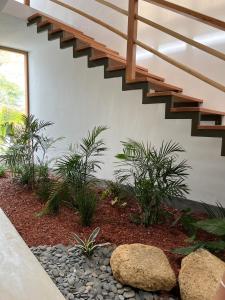 卡诺阿斯德蓬萨尔Casa GAIA - Punta Sal的植物和岩石房子的楼梯