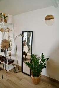 拉拉古纳El estudio de Jessica的镜子和室内盆栽