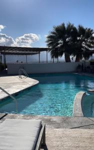 沙漠温泉Miracle Manor Boutique Hotel & Spa的一座拥有蓝色海水和棕榈树的游泳池