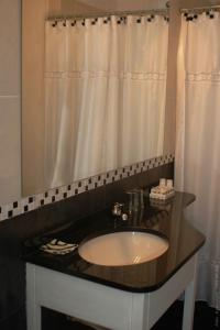 科洛尼亚-德尔萨克拉门托拉米圣酒店的一间带水槽和淋浴帘的浴室