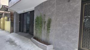 河内Era Apartment Khuc Thua Du的建筑一侧的石墙,有植物