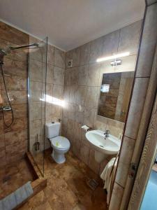 那沃达利SeaHorse GuestHouse的浴室配有卫生间、盥洗盆和淋浴。