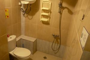 第比利斯Why Me Eco-friendly Rooms的一间带卫生间和淋浴的小浴室