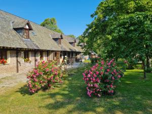 埃屈埃莫维尔la ferme chevalier的院子里一排种着粉红色花的房屋