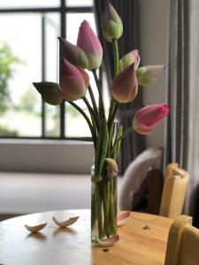 Hồ ÐáHương Tràm的花瓶里满是粉红色的花朵