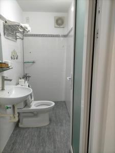岘港TN's House的一间带卫生间和水槽的浴室