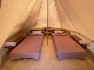 贝都古Alamu Eco Lodge的中间设有2张床的帐篷