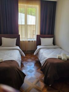 博尔若米DIOSKURIA BORJOMi的客房设有两张床和窗户。