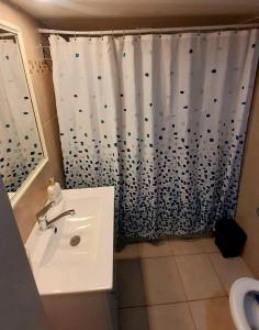 埃拉特Bluestone Vacations in Lev Eilat的一间带水槽和淋浴帘的浴室