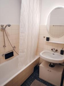 布莱堡Das Schmiedhofer in Bleiburg的白色的浴室设有水槽和镜子