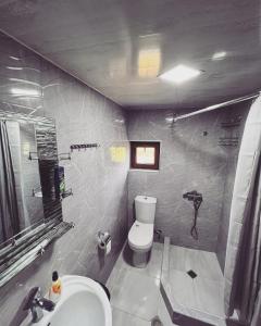 茨卡尔图博Gardenia的一间带卫生间和水槽的浴室