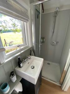 佩特沃斯Coachroad Shepherds Huts的白色的浴室设有水槽和淋浴。
