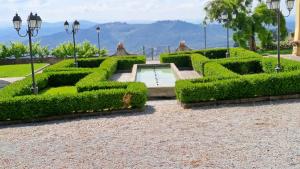 卡尔米尼亚诺Dépendance in Villa Albachiara e Primaluce的花园中设有树 ⁇ 和游泳池