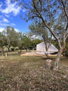 诺托La ViTa in land - between olives and almonds的树旁田野顶上的帐篷