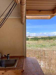 诺托La ViTa in land - between olives and almonds的一个带水槽的厨房,享有田野的景色