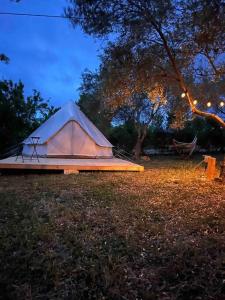 诺托La ViTa in land - between olives and almonds的坐在草地上的帐篷