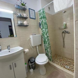 萨图恩Casa Ancutei的浴室配有卫生间、淋浴和盥洗盆。