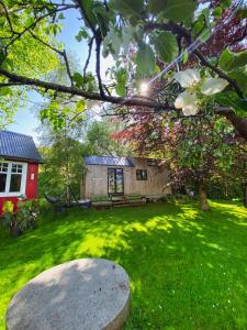 格里姆斯塔Tiny house - idyllic accommodation的一个带房子和秋千的院子