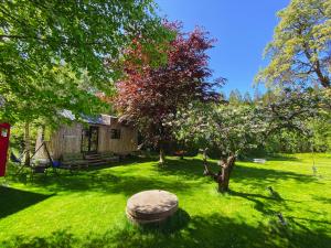 格里姆斯塔Tiny house - idyllic accommodation的一个带小木屋和树的院子