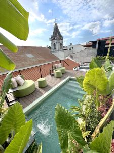 巴拿马城AmazINN Places Hotel Boutique Casa Marichu的植物群落的建筑物屋顶上的游泳池