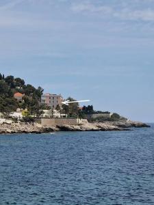 卡普戴尔Luxury 2-Bedroom Flat at the Seafront: Unforgettable Stay Near Monaco!的一大片水,有房子在后面
