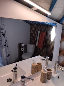 Jurta na zvířecí farmě的浴室镜子、水槽和卫生间
