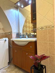 卡利亚里Arquer43 - Cagliari Old Town的浴室设有水槽、镜子和植物