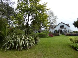 卡斯尔敦贝尔Rodeen Country House的草和植物的院子