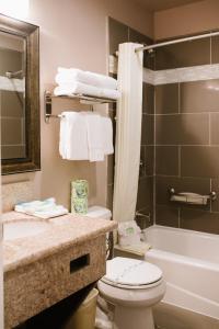 安纳海姆阿拉莫会展中心套房酒店的浴室配有卫生间、盥洗盆和浴缸。