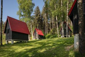 阿德尔什帕赫Chatky Skalní mlýn Adršpach的一群在田野上拥有红色屋顶的房屋