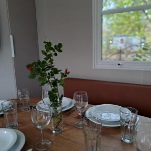 蒂伦豪特巴斯赫露营地的桌子上放着眼镜,花瓶上放着植物