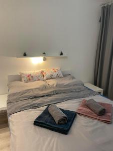 尼特拉Apartment Nitra-city centre的一张带两个枕头的床和毛巾