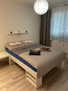 尼特拉Apartment Nitra-city centre的一间卧室配有一张大床和光线