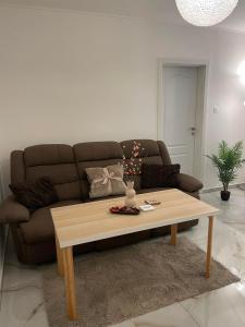 尼特拉Apartment Nitra-city centre的带沙发和咖啡桌的客厅