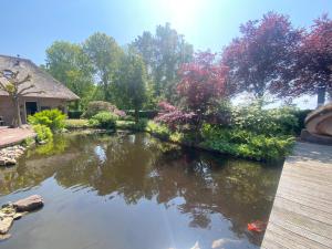 RoldeB&B. Het Hunebed Rolde的一座有树木和房子的院子中的池塘